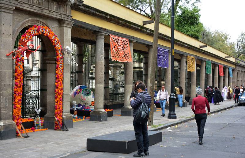 48994684431_11ed121810_c.jpg