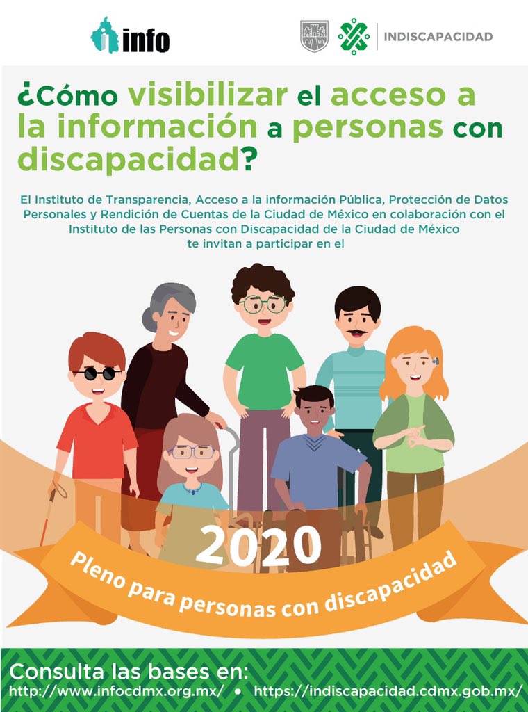 acceso-info-personas-discapacidad-2020.jpg