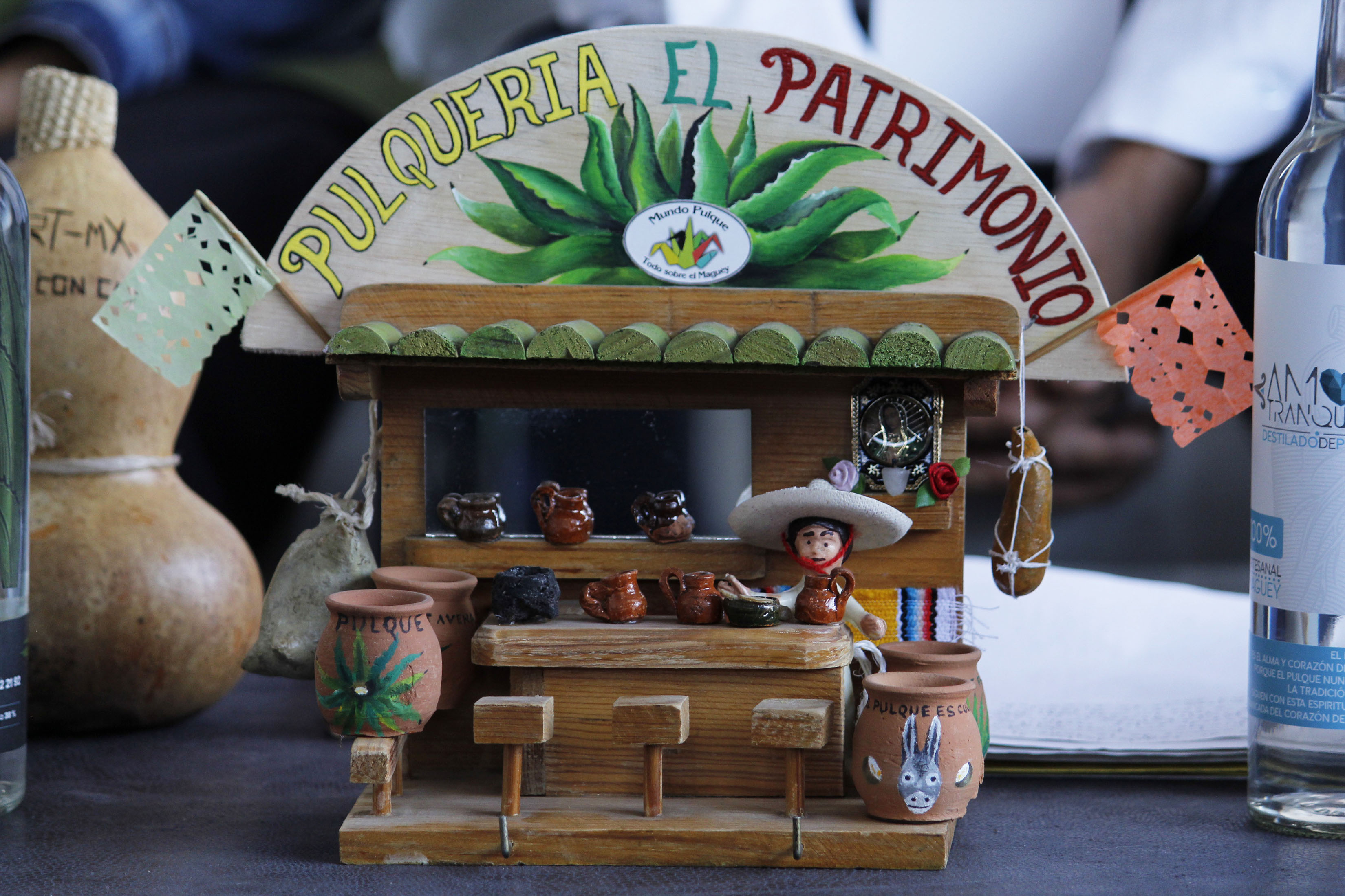MX BR SALVAGUARDA DEL MAGUEY_10.jpg