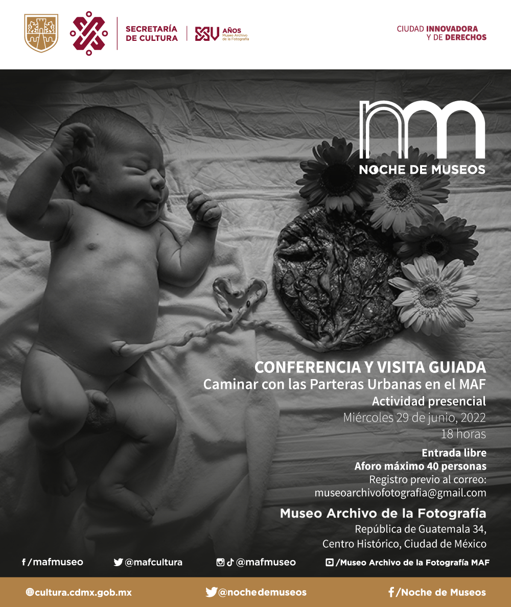 ✔️1. Museo Archivo de la Fotografía..png