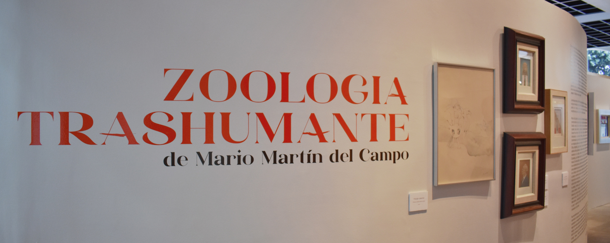 ZOOLOGÍA TRASHUMANTE (7).jpg