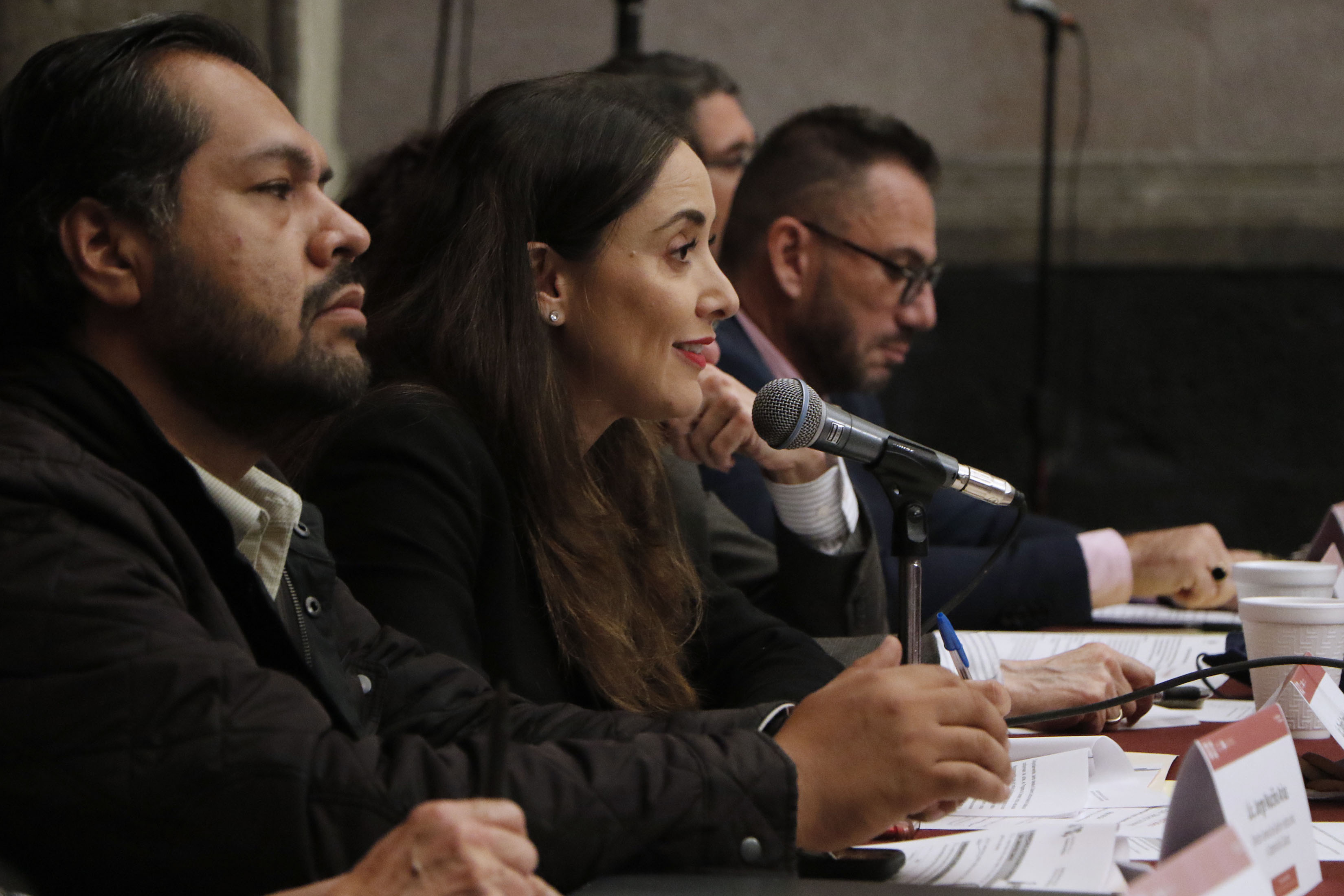 MX TV FORO DE CONSULTA PÚBLICA_09.jpg