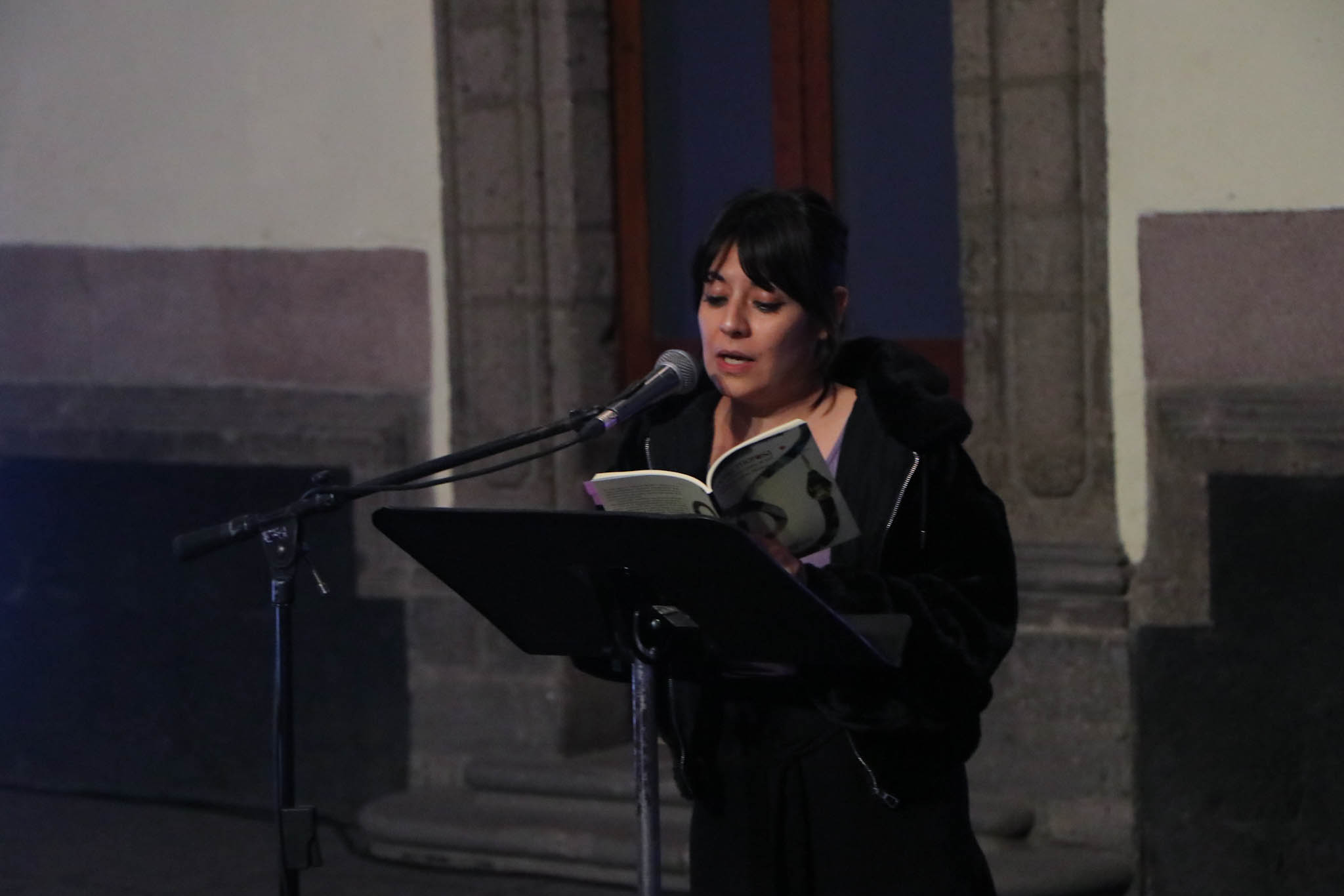 MX TV HOMENAJE DAVID HUERTA (6).jpg