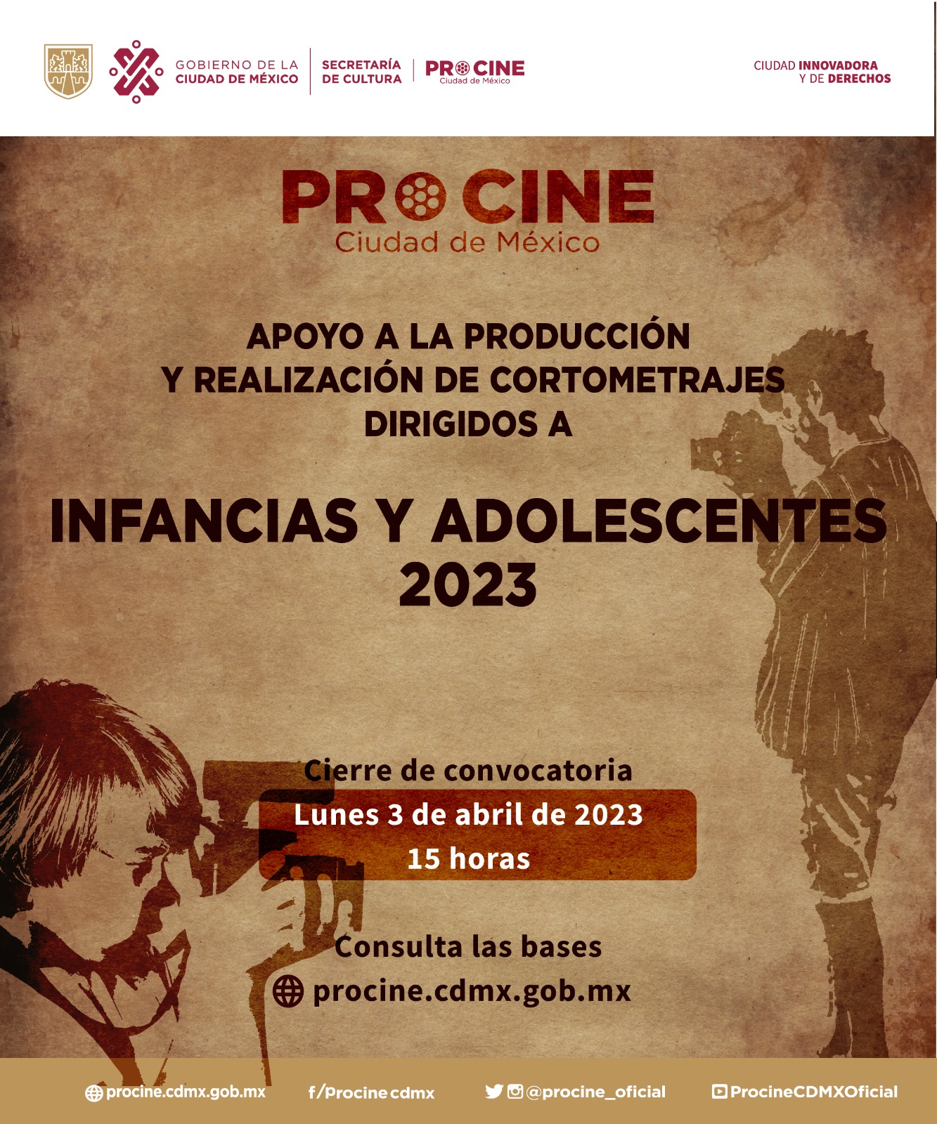 5 procine.jpg