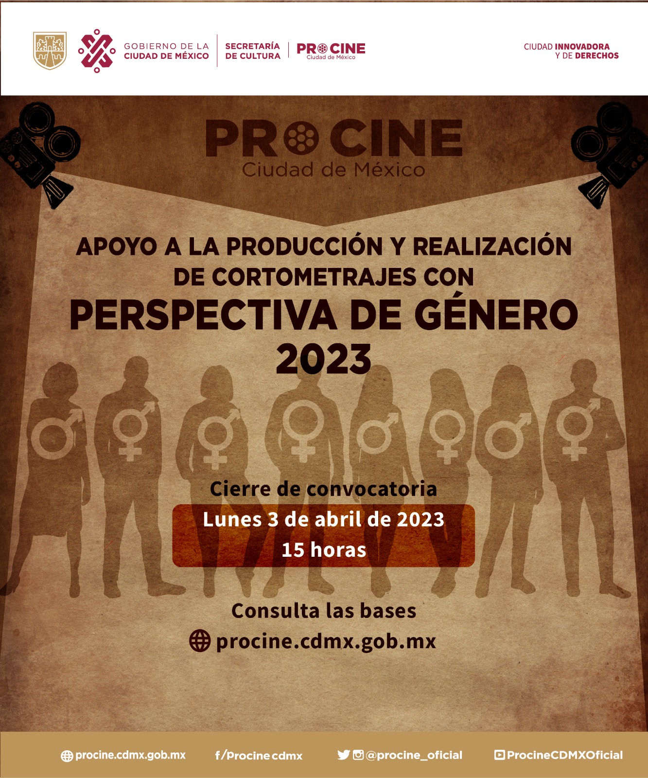 8 procine.jpg