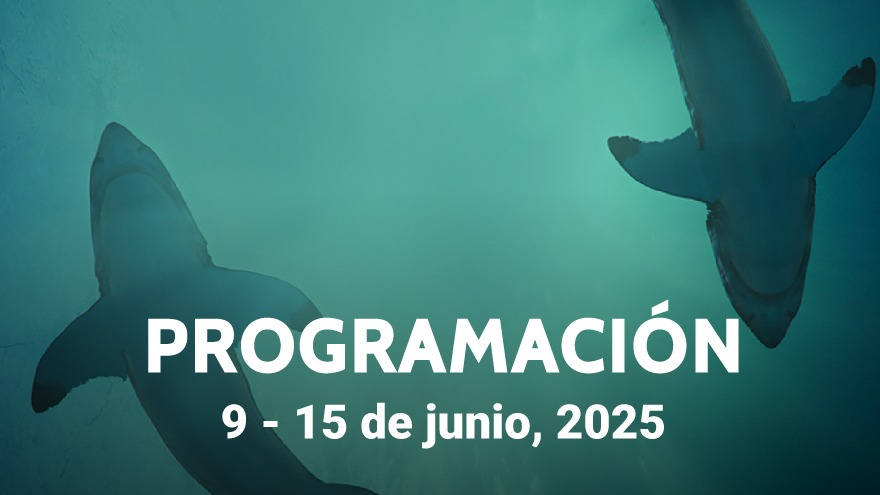 CARTELERA DE LA CIUDAD DE MÉXICO