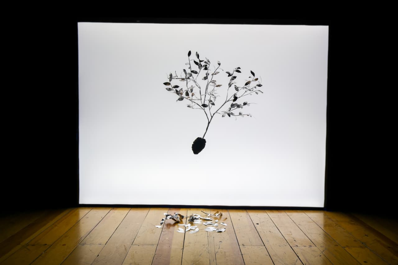 WhatsApp Image 2025-11-08 at 3.52.58 PM (2).jpeg